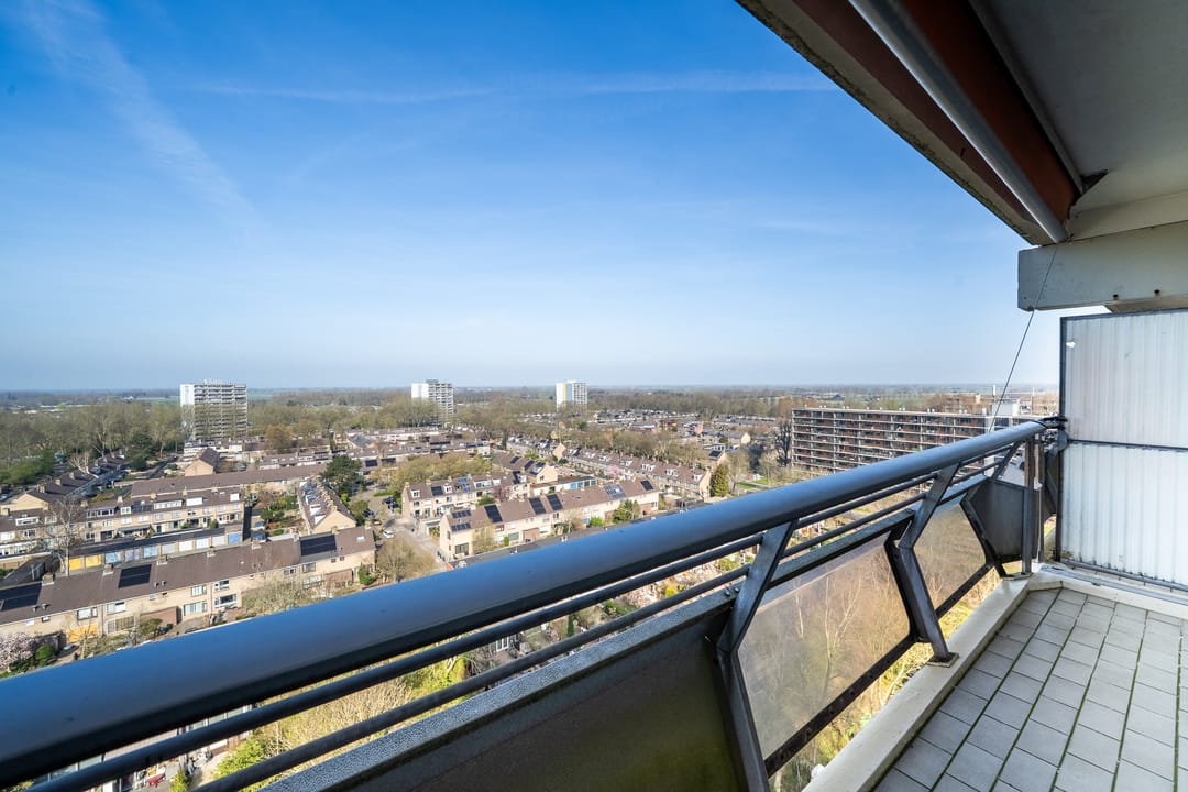 Photo 13 of De Roerdomp 196