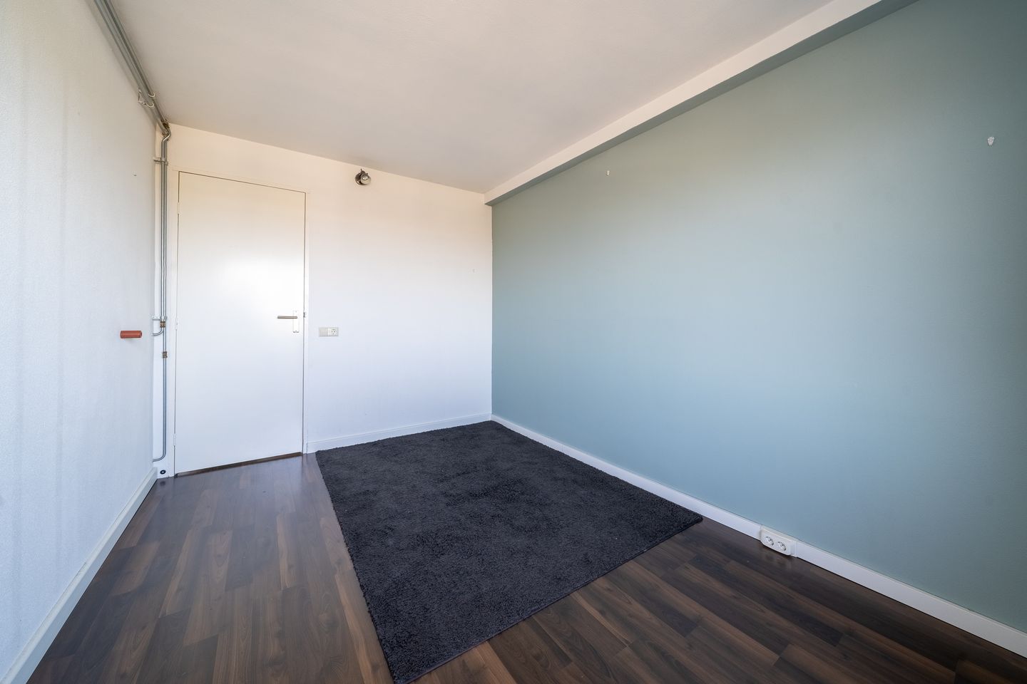 Photo 29 of De Roerdomp 196