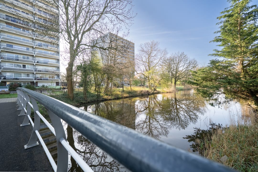 Photo 31 of De Roerdomp 196