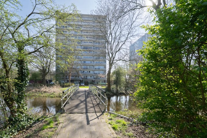 Foto 32 van De Roerdomp 196