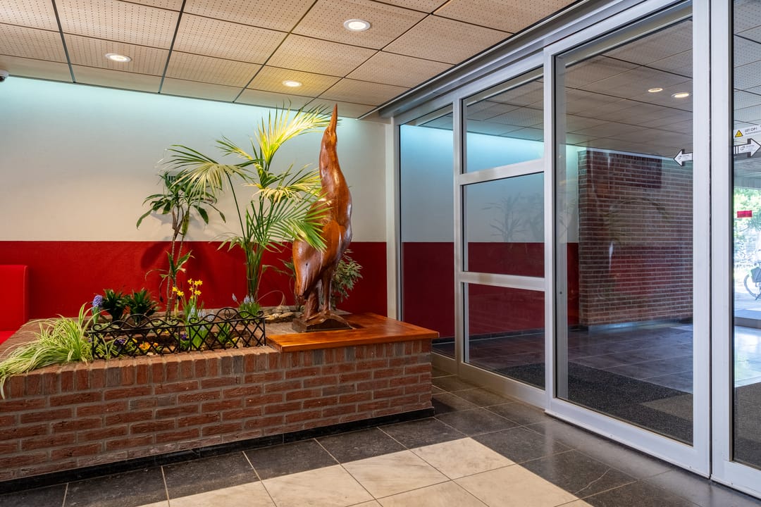 Photo 37 of De Roerdomp 196