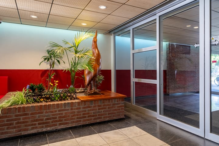 Foto 37 van De Roerdomp 196