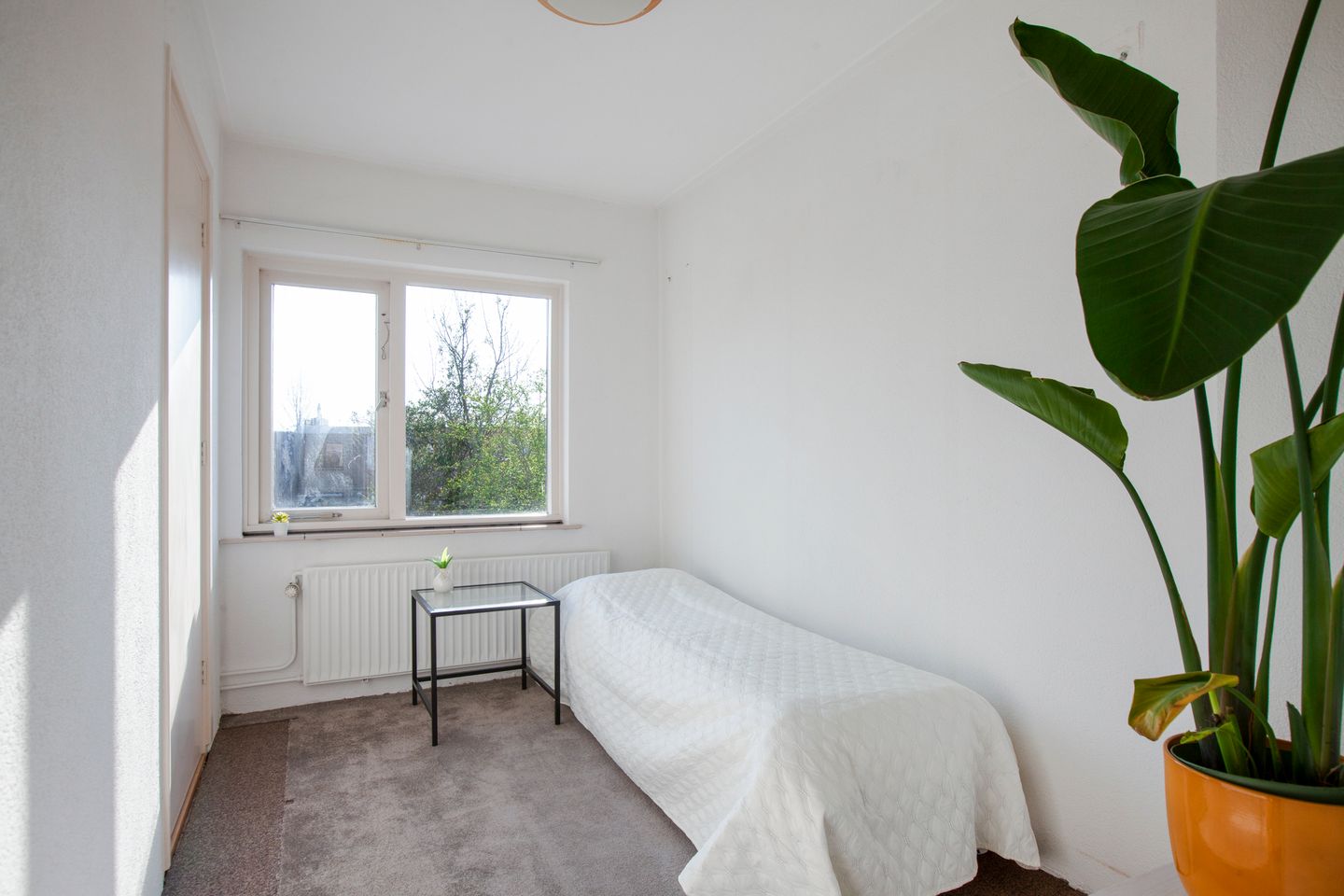 Photo 29 of Thorbeckelaan 18