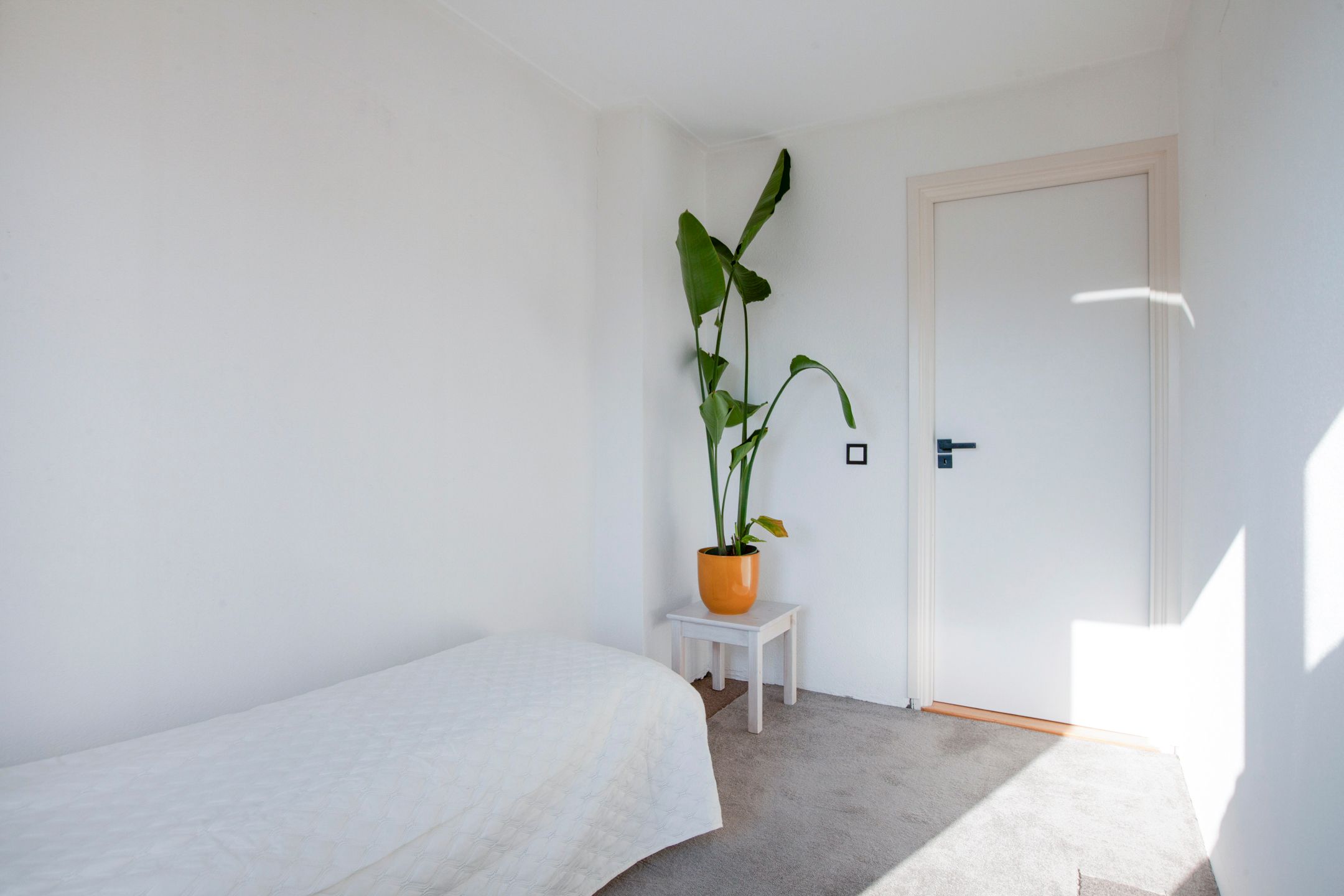 Photo 30 of Thorbeckelaan 18