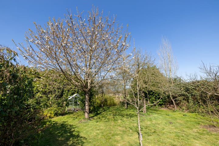 Foto 45 van Prinsenstraat 2