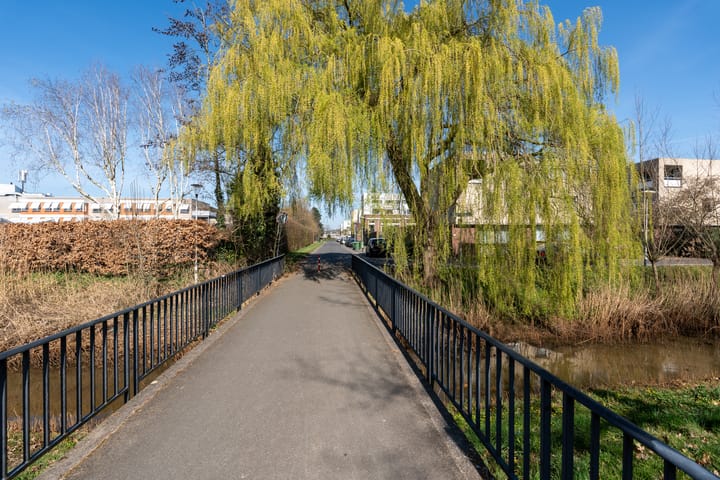 Foto 37 van Maria Cherubinastraat 75