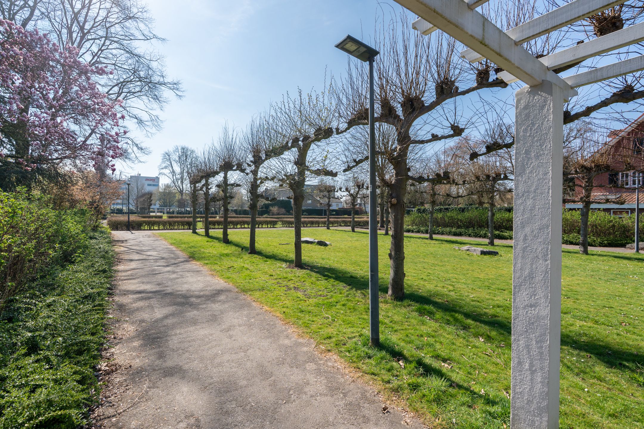 Foto 39 van Maria Cherubinastraat 75