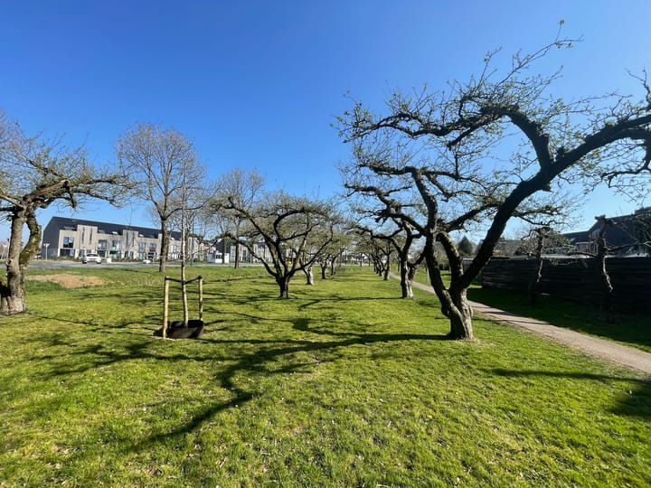 Photo 50 of Ringoven 40