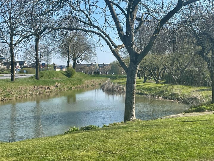 Photo 51 of Ringoven 40