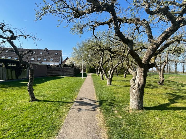 Photo 48 of Ringoven 40