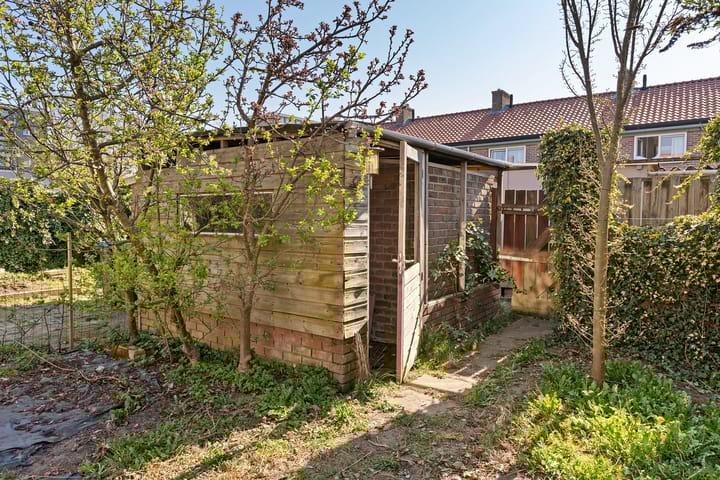 Photo 9 of Klaproosstraat 11