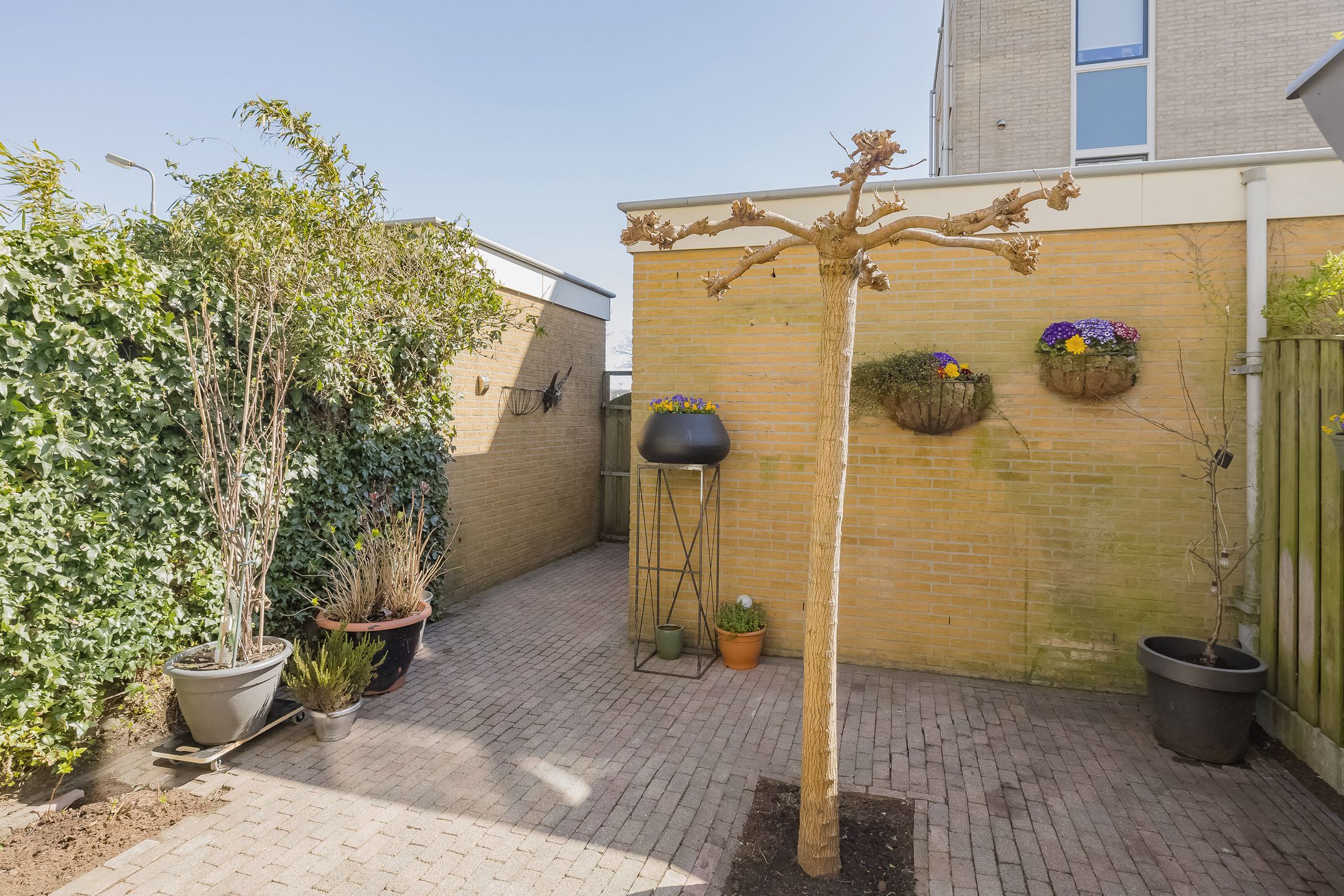 Foto 24 van Planetenweg 323