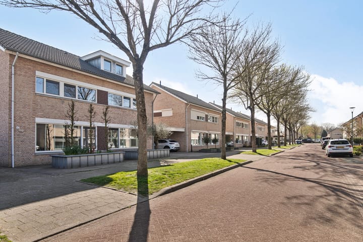 Foto 4 van Rosa Manusstraat 62
