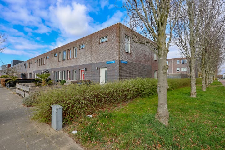 Foto 34 van Holbeinstraat 53