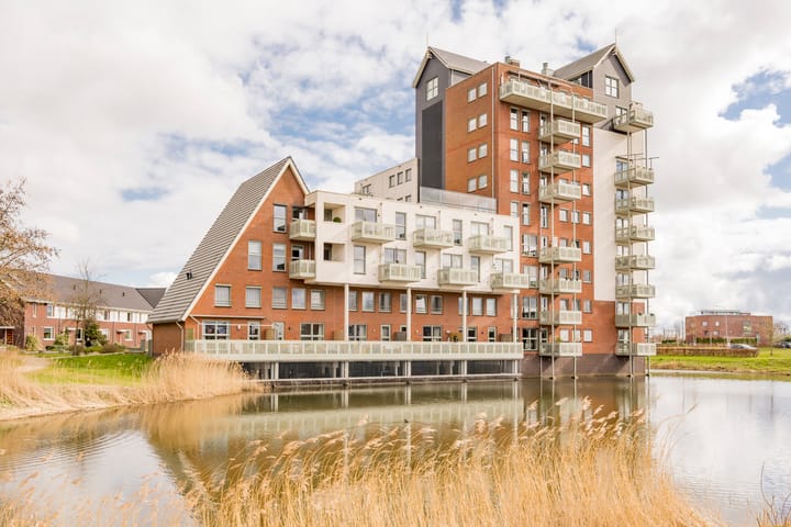 Foto 1 van Zijdevlinder 4