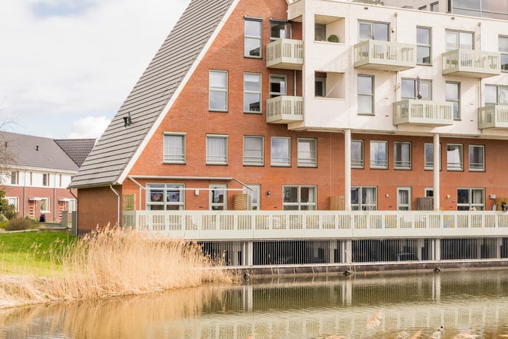 Foto 2 van Zijdevlinder 4