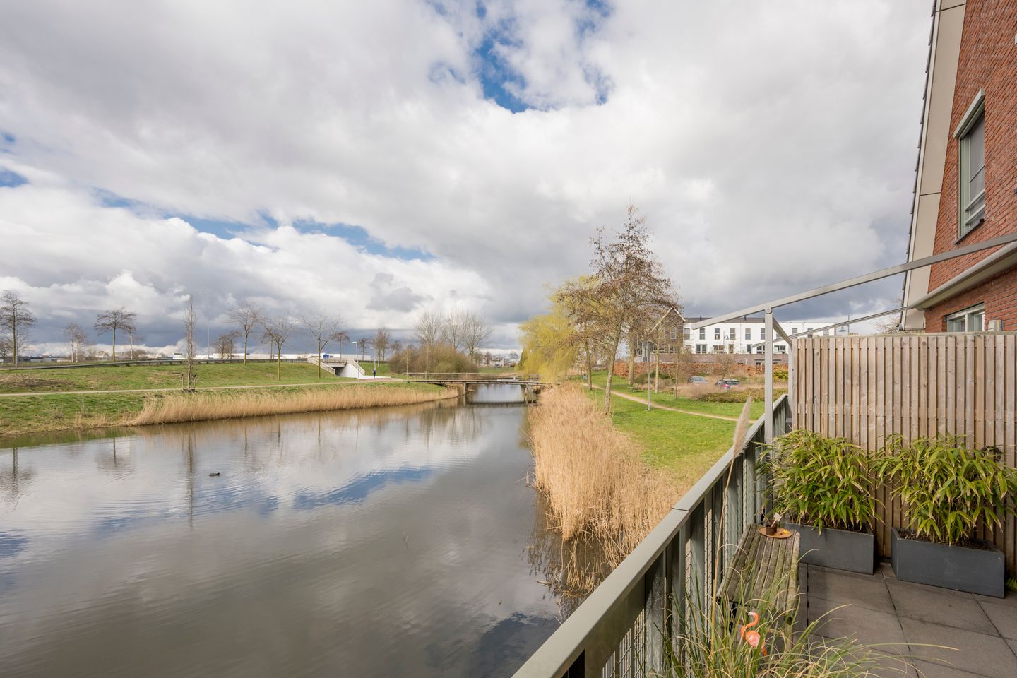 Photo 4 of Zijdevlinder 4