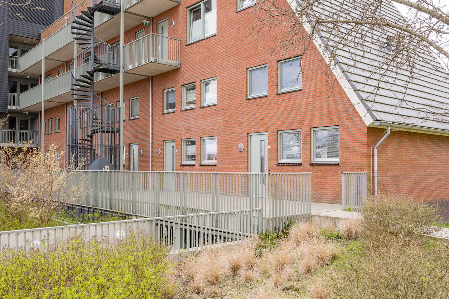 Photo 5 of Zijdevlinder 4