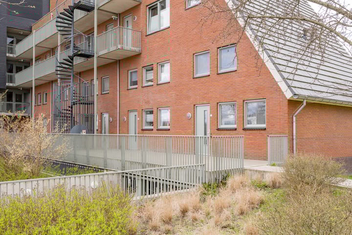 Foto 5 van Zijdevlinder 4