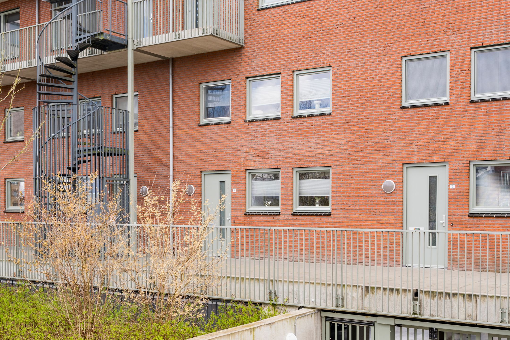 Photo 6 of Zijdevlinder 4