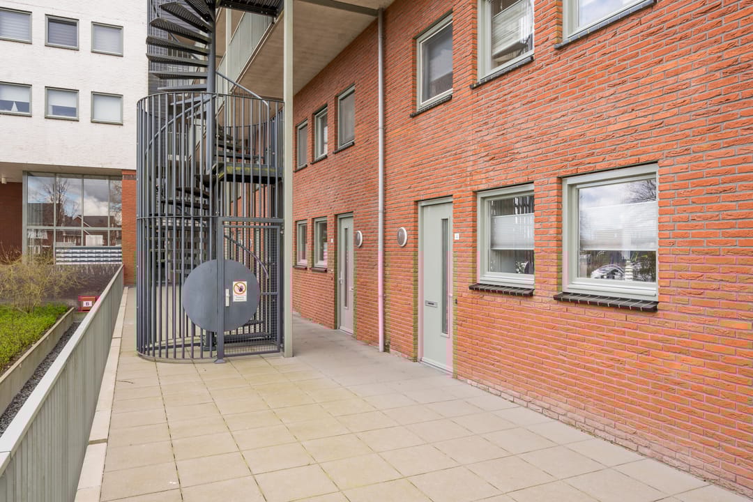 Photo 7 of Zijdevlinder 4