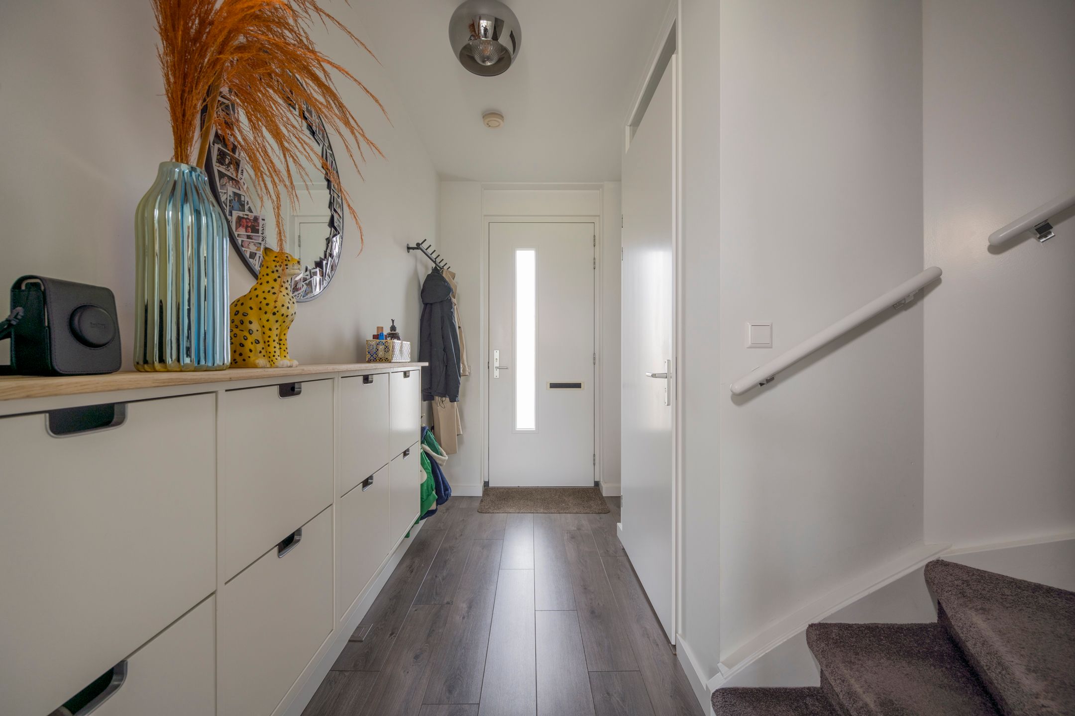 Photo 9 of Zijdevlinder 4