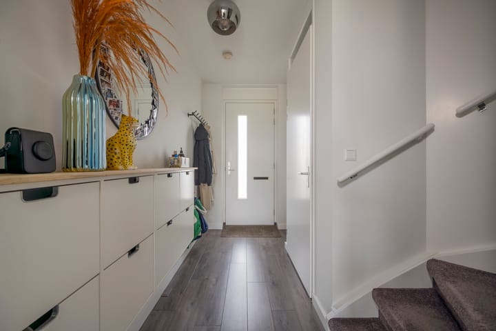 Foto 9 van Zijdevlinder 4