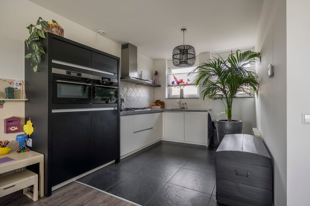 Photo 16 of Zijdevlinder 4