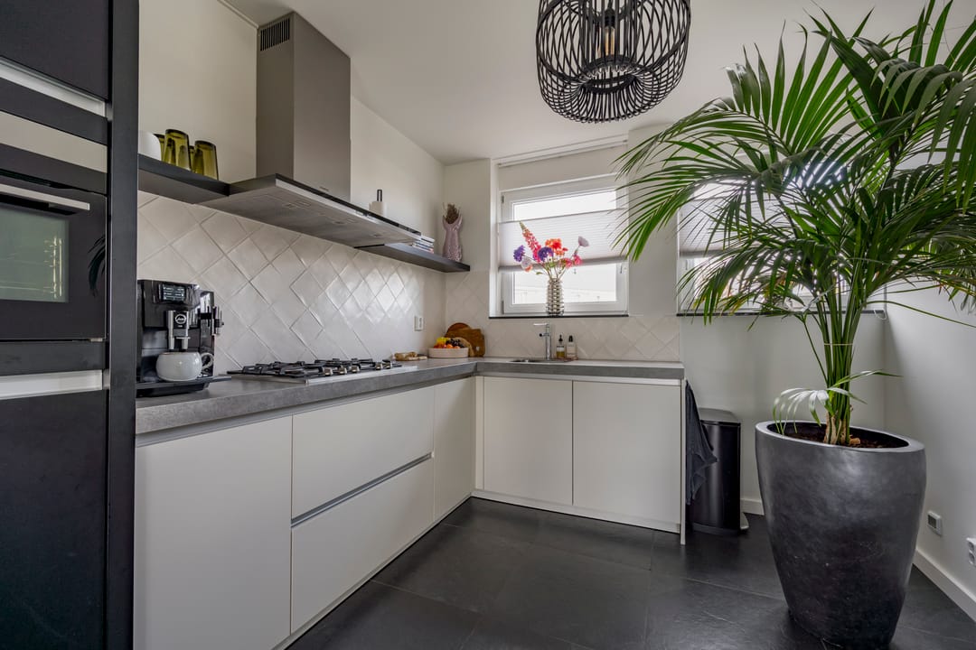 Photo 17 of Zijdevlinder 4