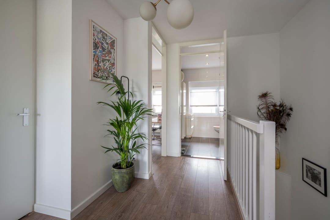 Photo 28 of Zijdevlinder 4