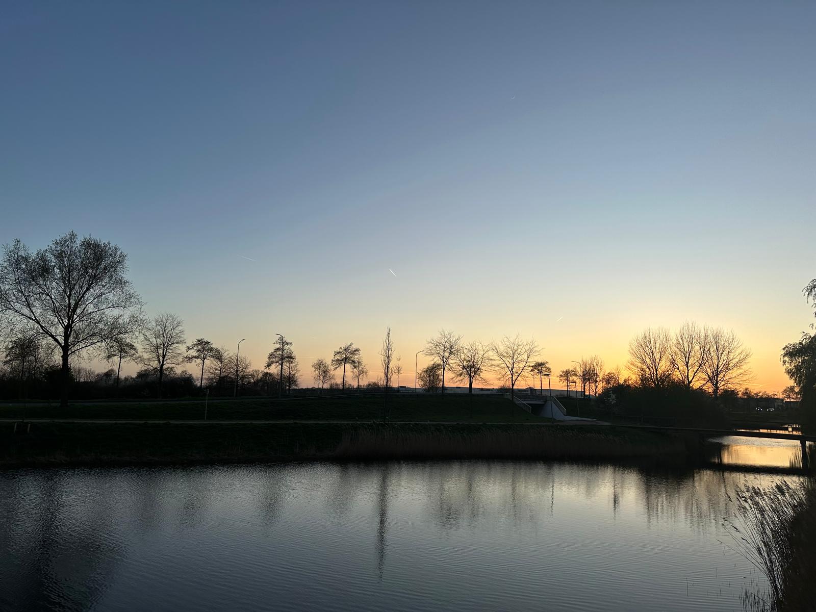 Photo 33 of Zijdevlinder 4