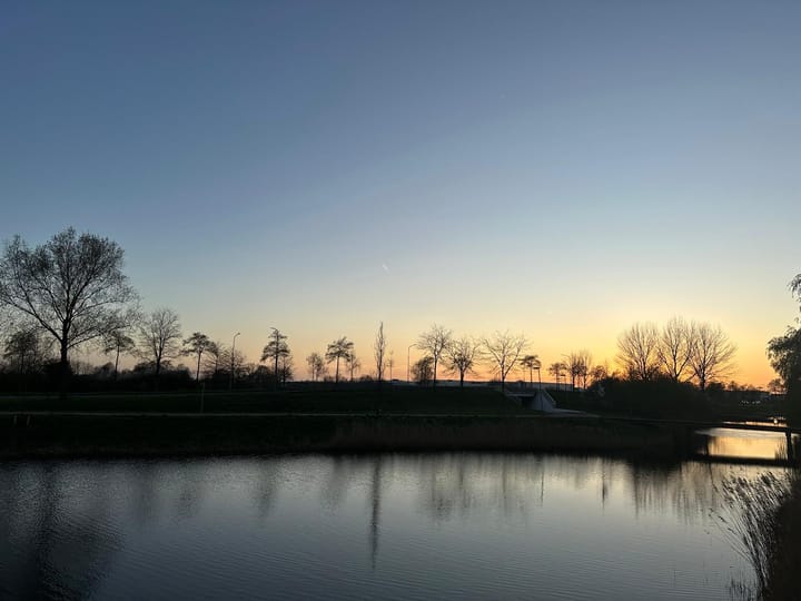 Foto 33 van Zijdevlinder 4