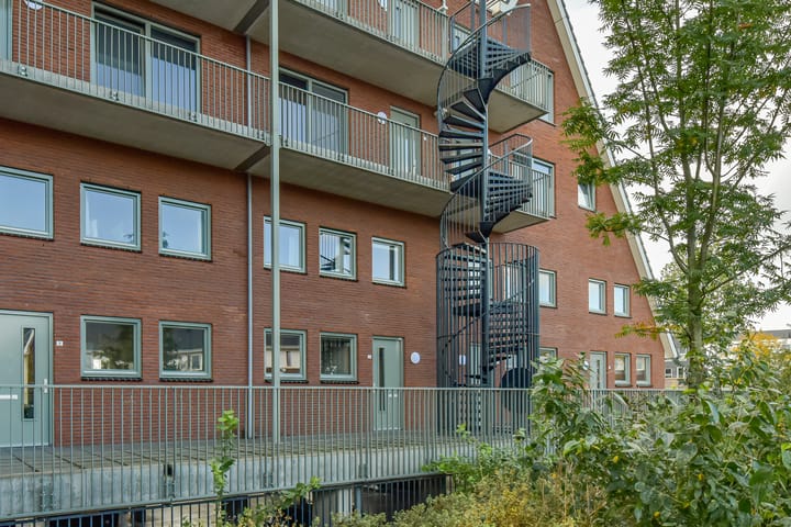 Foto 42 van Zijdevlinder 4