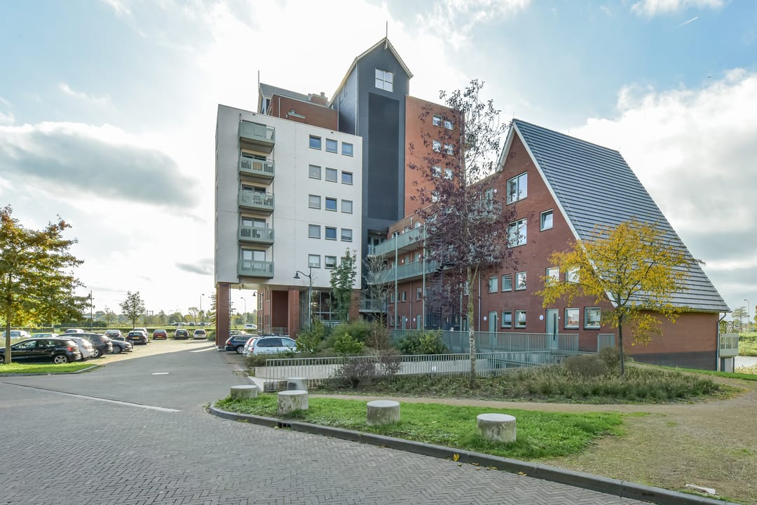 Photo 43 of Zijdevlinder 4