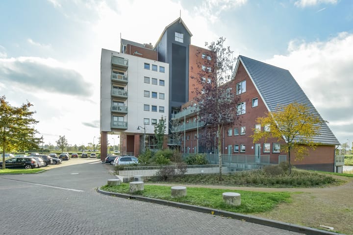 Foto 43 van Zijdevlinder 4