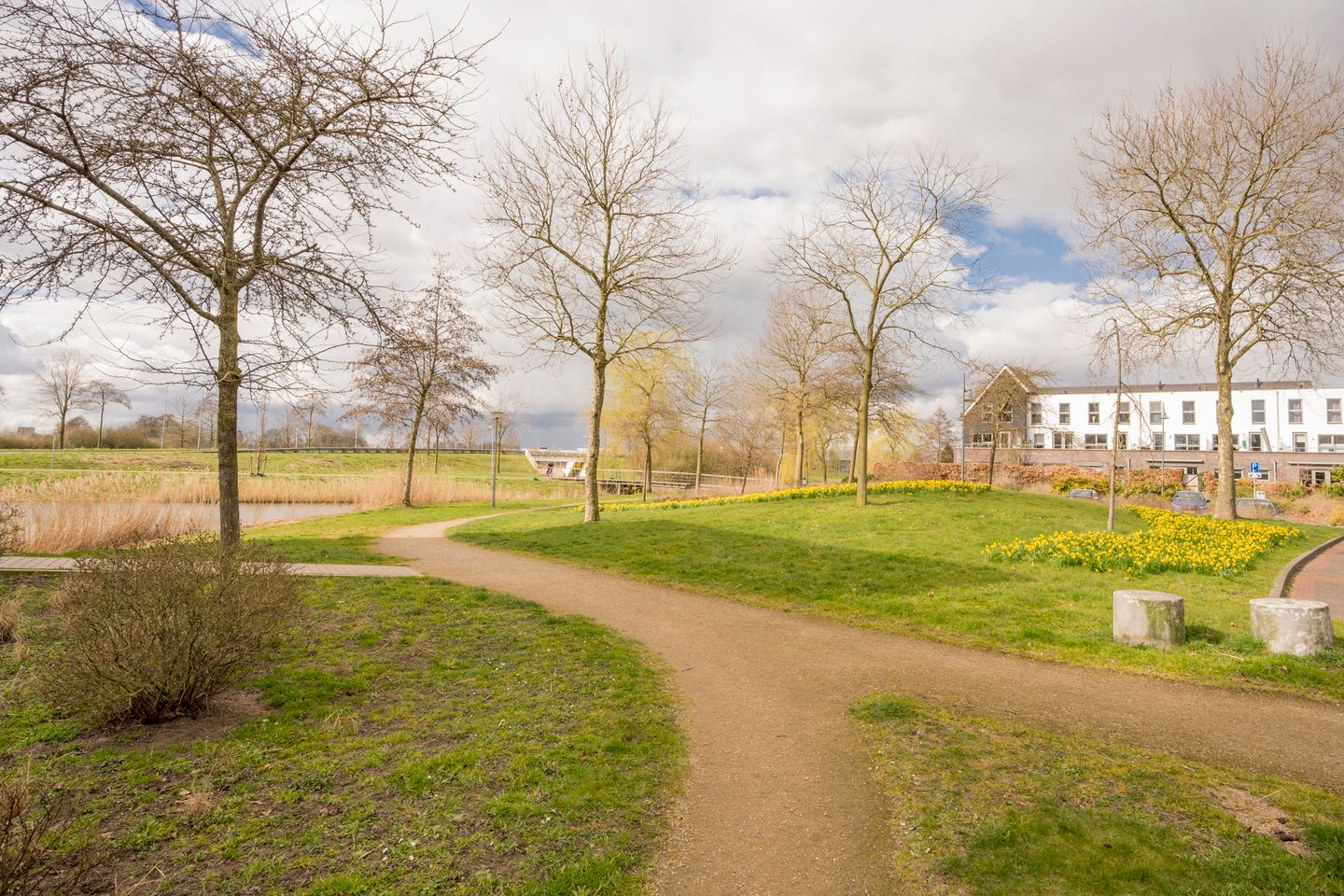 Photo 44 of Zijdevlinder 4