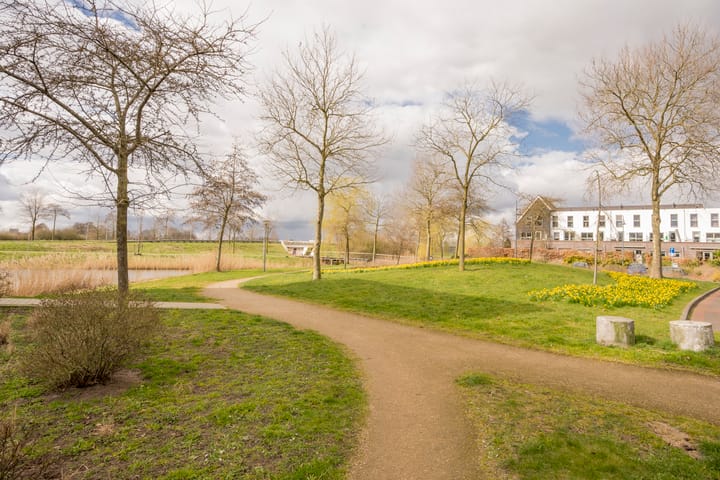 Foto 44 van Zijdevlinder 4