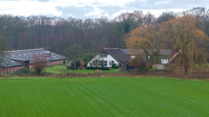 Foto 6 van Groot Wolfswinkel