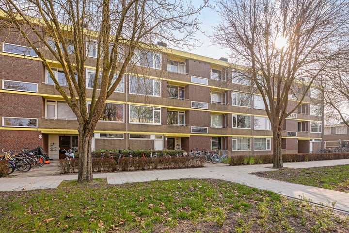 Spaanse Aakstraat 39
