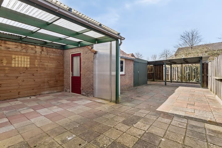 Foto 17 van Steinstraat 6