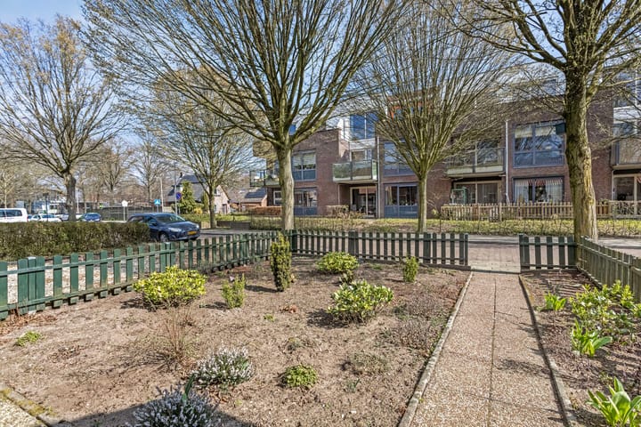 Foto 21 van Steinstraat 6