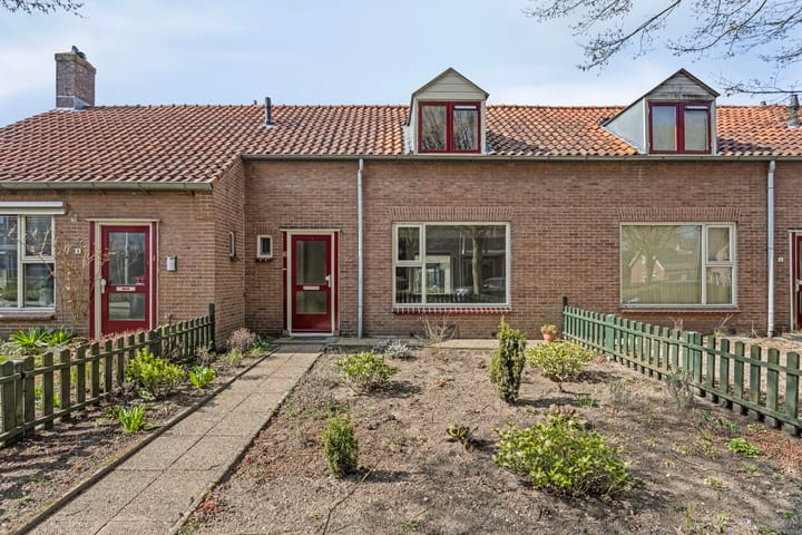 Foto 22 van Steinstraat 6