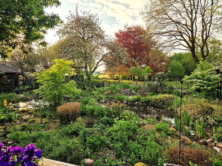 Foto 42 van Anderenseweg 27