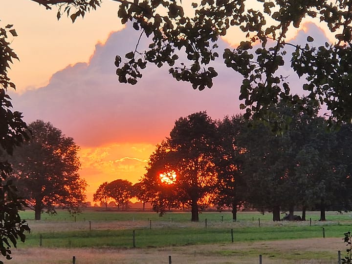 Foto 66 van Anderenseweg 27