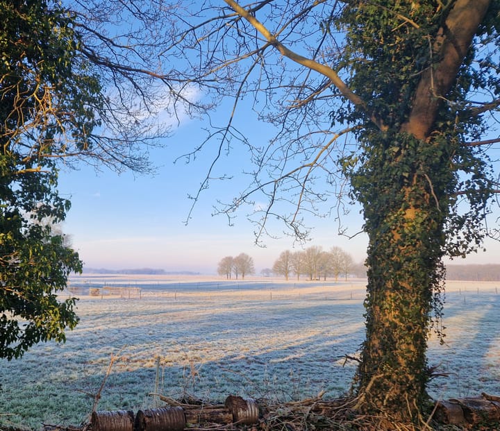 Foto 67 van Anderenseweg 27