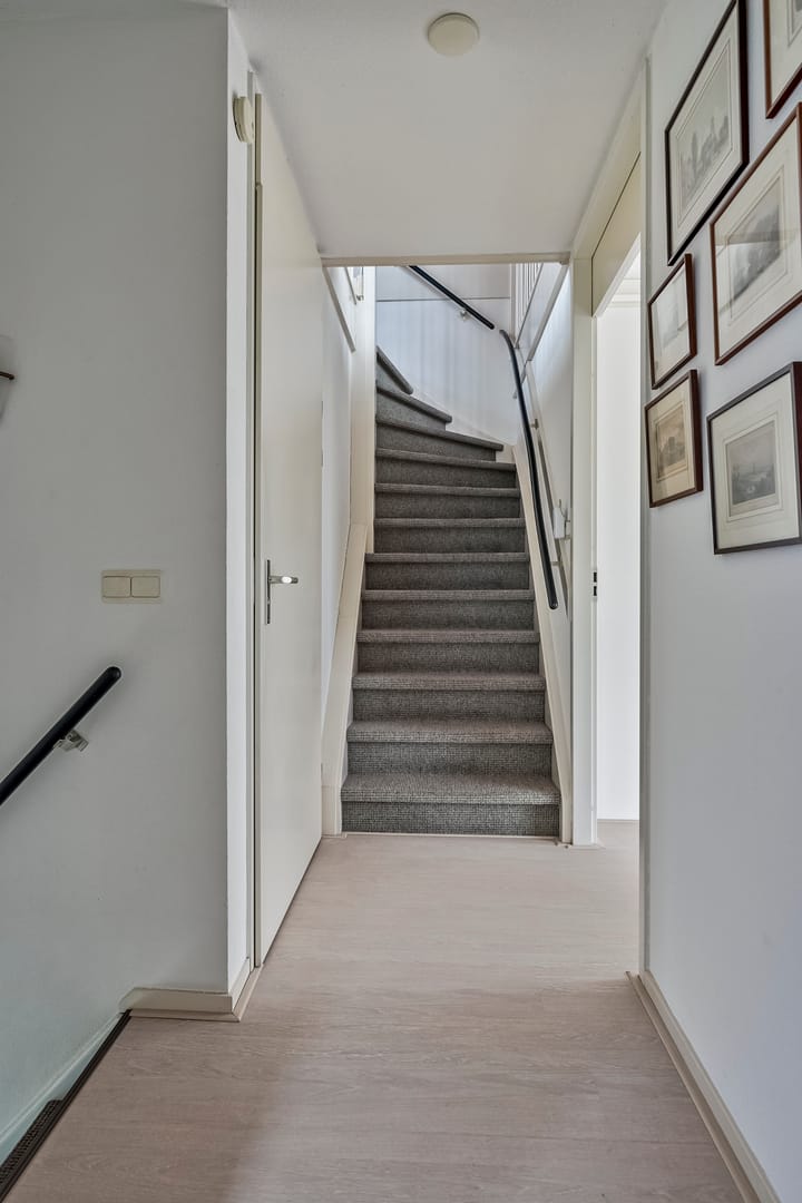 Foto 22 van Sleedoornpage 11