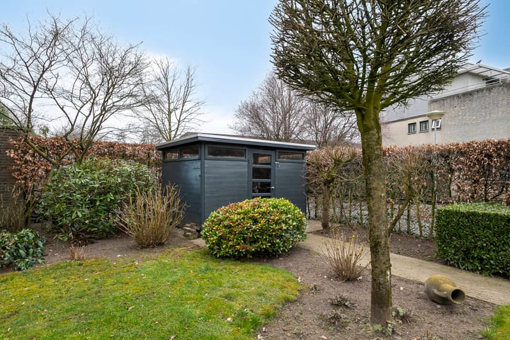 Foto 30 van Sleedoornpage 11