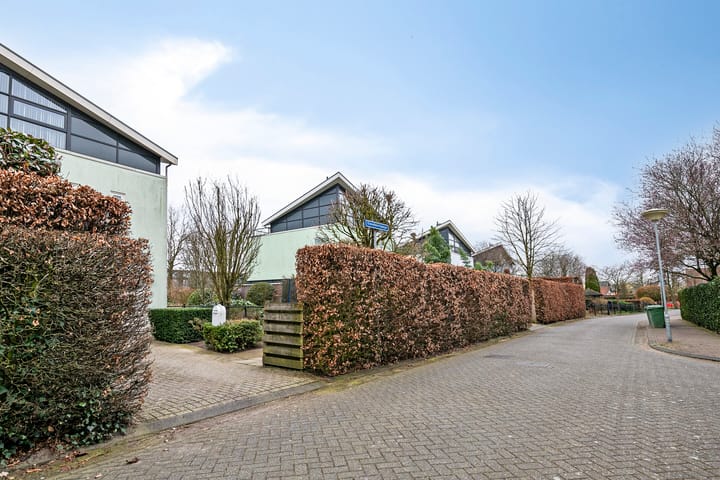 Foto 31 van Sleedoornpage 11