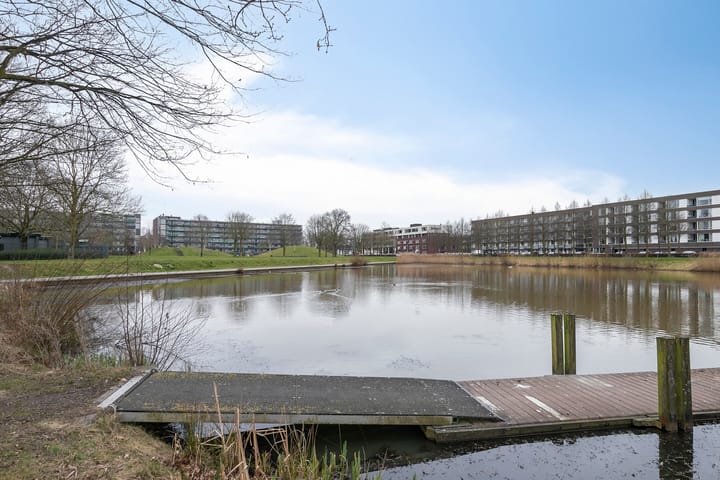 Foto 37 van Sleedoornpage 11