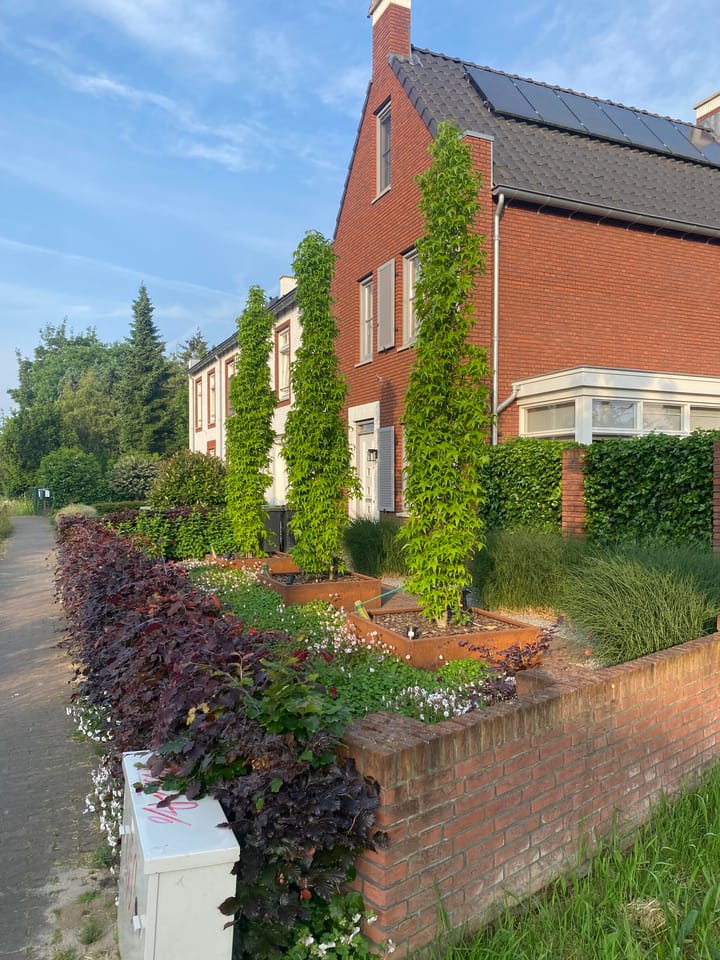 Foto 45 van Huurlingsedam 6-A